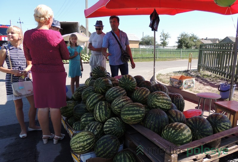 Арбузы Плотницких люди покупают охотно