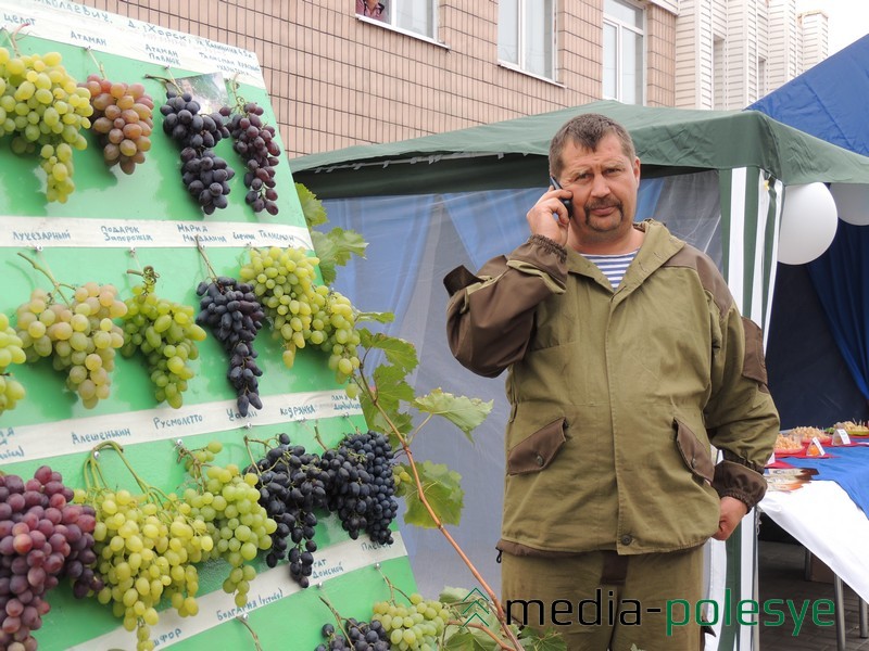 Виноград Николая Омельчука на выставке в Ремле во время районных «Дожинок»