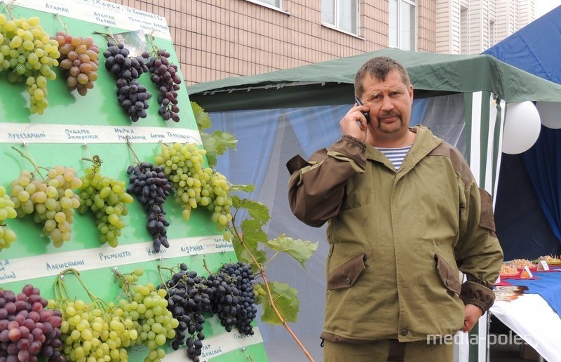 Виноград Николая Омельчука на одной из выставок