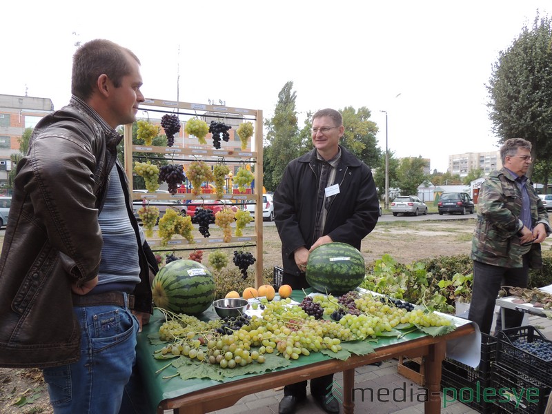 Белорусские арбузы не уступают по величине и по вкусу заграничным