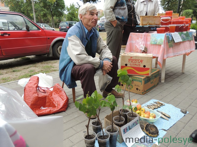 Саженцы винограда