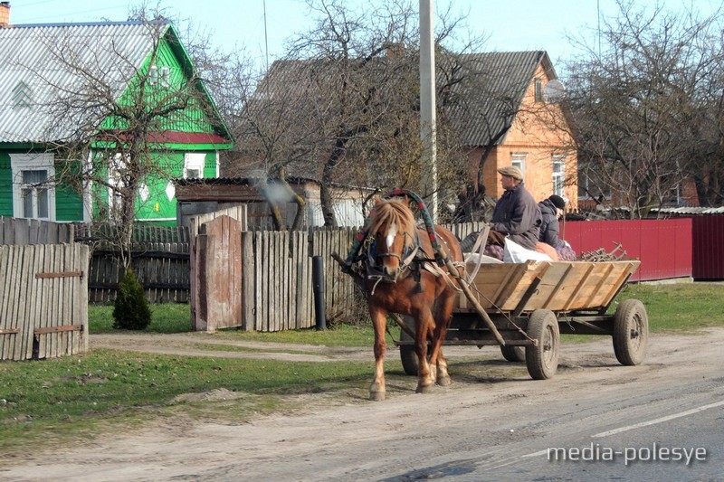 У палешукоў зараз гарачая пара