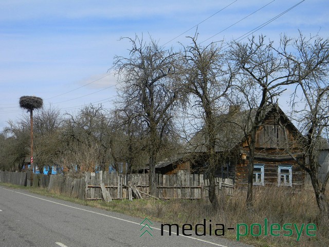 Люди съехали, птицы остались