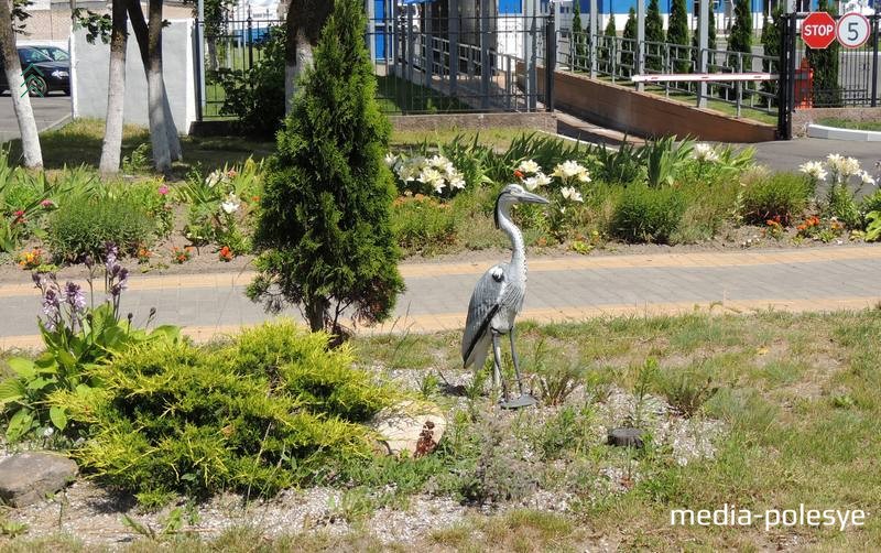 На некоторых клумбах встречаются представители фауны Полесья