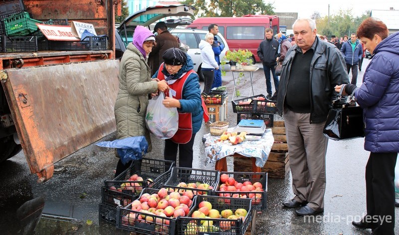 Яблоки ОАО «Лядецкий» были нарасхват