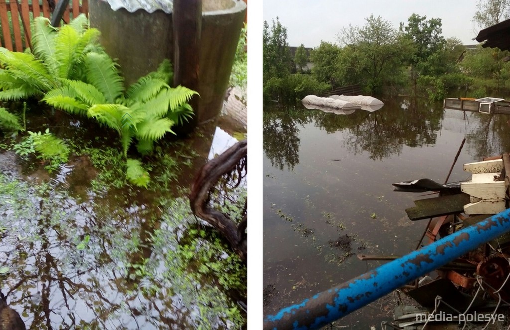 Наши огороды. Вода под домом, уровень воды в колодце выше на 10 см  земли. Снимками поделились наши читатели в соцсети