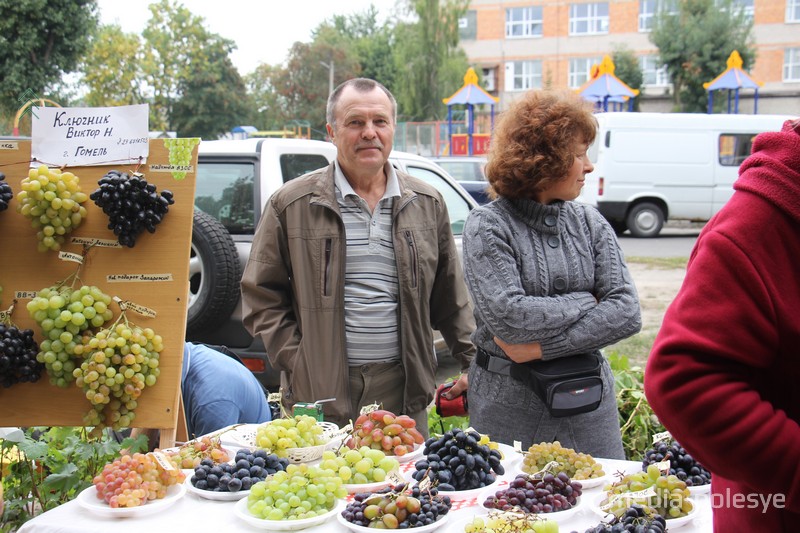 Виноград из Гомеля