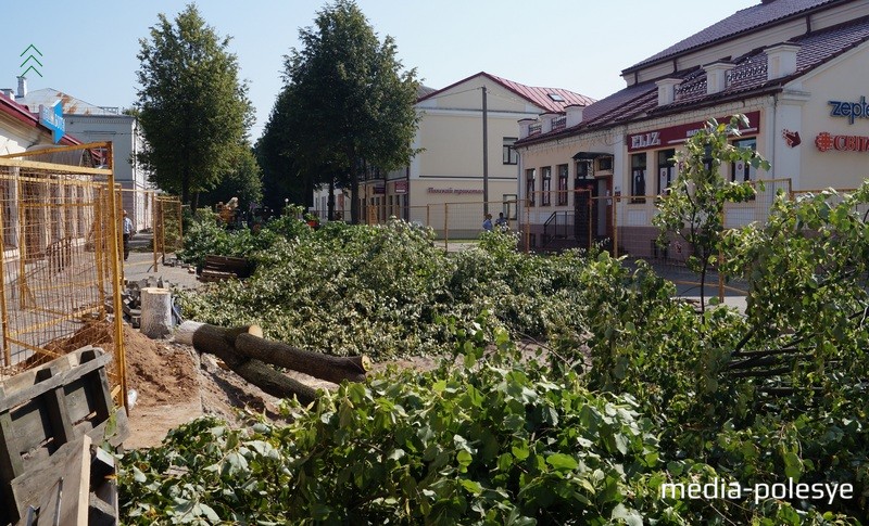 Эти липы, которые виднеются вдали, скоро тоже спилят