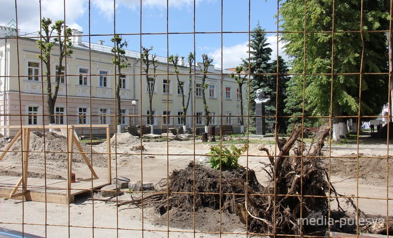 Жертвой реконструкции стали липы