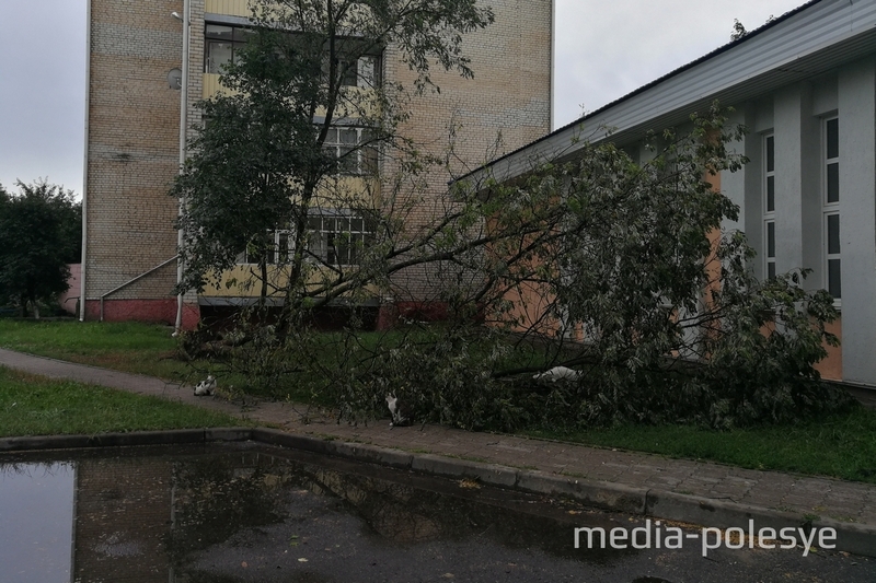 Возле ЗАГСа, со двора по ул.Красной