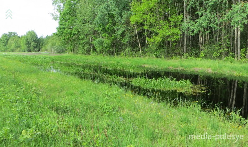 Вода не только во дворе