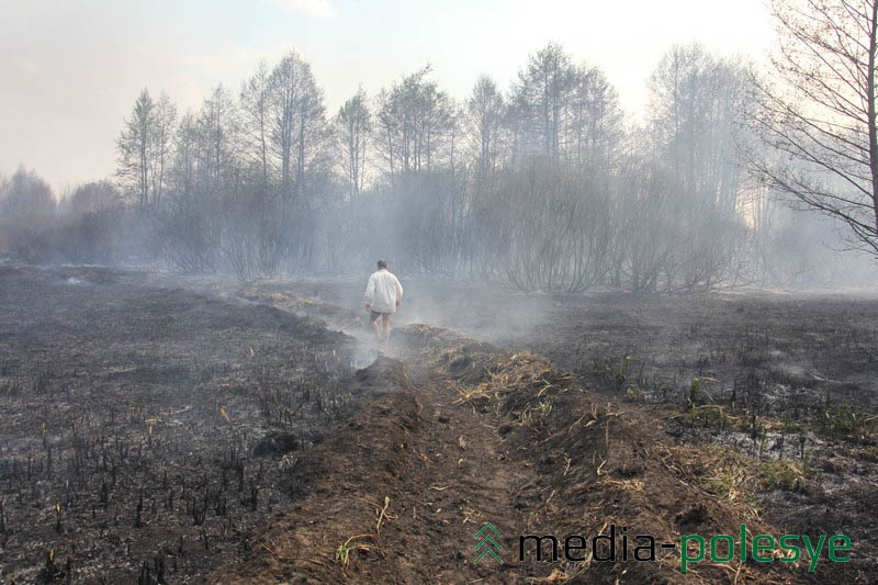 По выгоревшим территориям Медиа-Полесье сопроводил очевидец