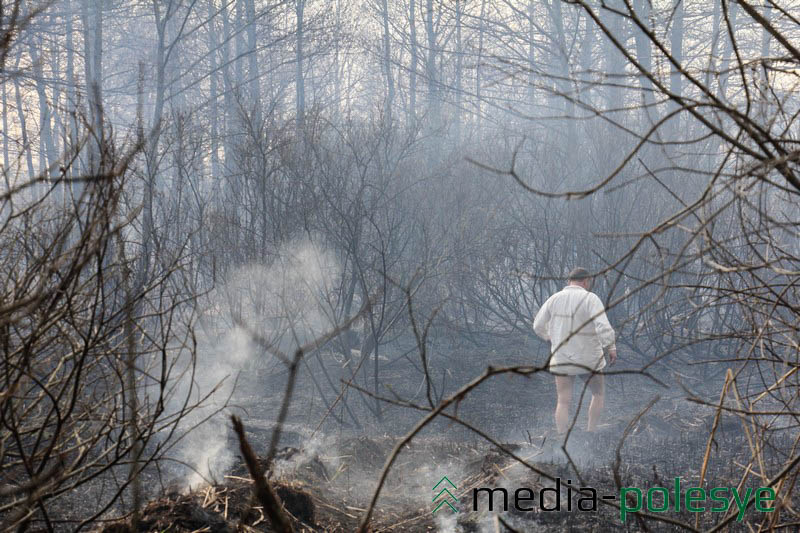 Визги диких кабанов, убегавших от огня,  доносились неподалеку