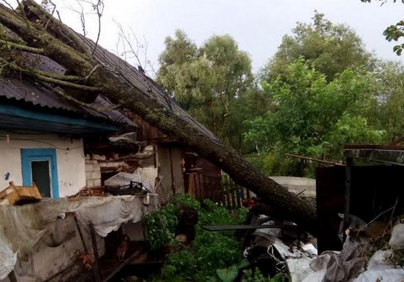 Дерево упало на жилой дом в Микашевичах. Фото Лунинецкого РОЧС 