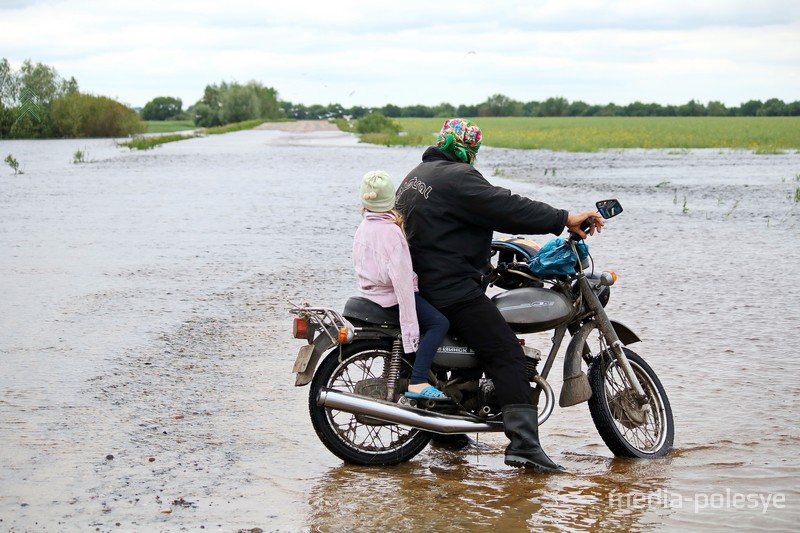 Здесь видели крупных сазанов