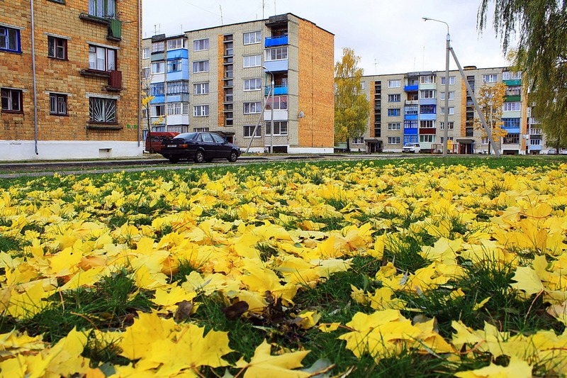 В микрорайоне осень