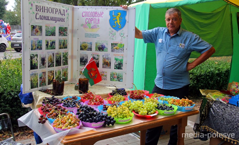 Столовые сорта пускают на сок и вино