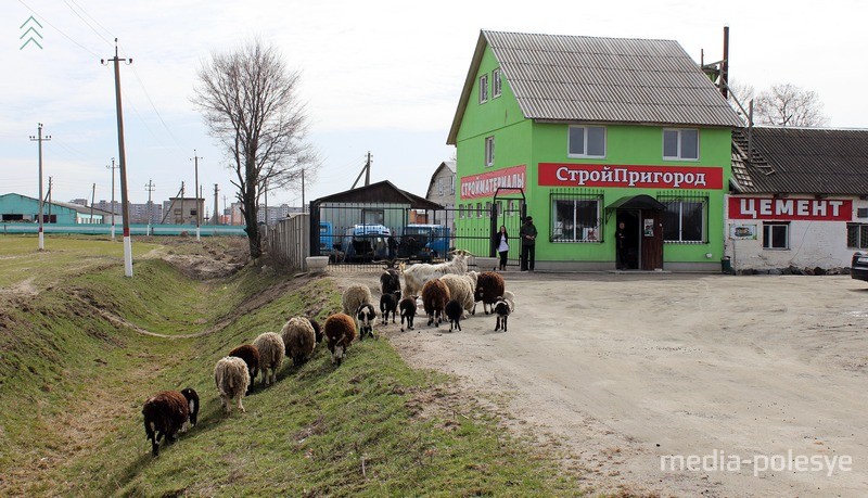 Владения Павла Шальпука