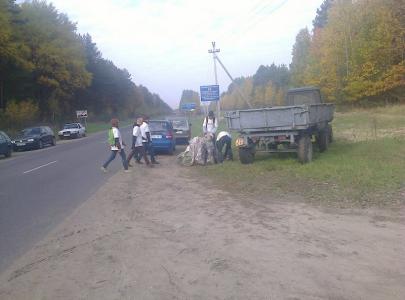 фото ГЛХУ "Лунинецкий лесхоз"