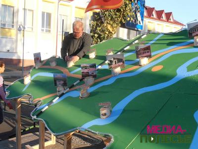 Глобус Столинского района