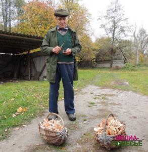 За пять минут нарезал два лукошка опят