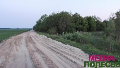 Лес, где обнаружены останки