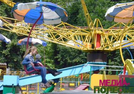 Ромашка в парке