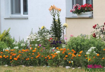 У жилого дома по ул.Советской