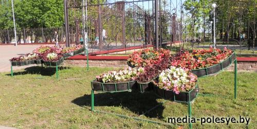 Вот такие бабочки появились у входа в городской парк