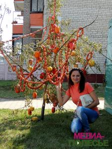 Возле «колбасного» дерева можно не только фотографироваться