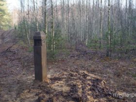 Снимок носит иллюстративный характер / Фото из архива Медиа-Полесья