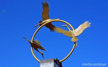 Аисты парят над пинским мостом