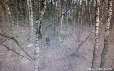 Фото предоставлено Лунинецким лесхозом