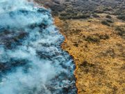 Грандиозный пожар на Пинщине. Фото по тексту Василия Пошелюка