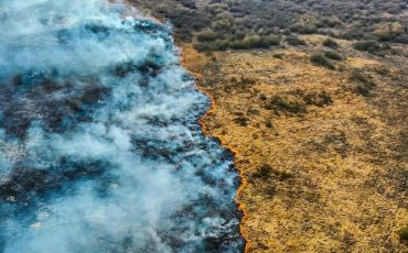 Грандиозный пожар на Пинщине. Фото по тексту Василия Пошелюка