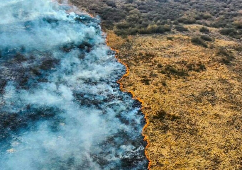 Грандиозный пожар на Пинщине. Фото по тексту Василия Пошелюка