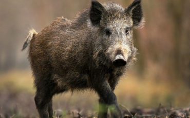 Снимок носит иллюстративный характер / Фото: yandex.by