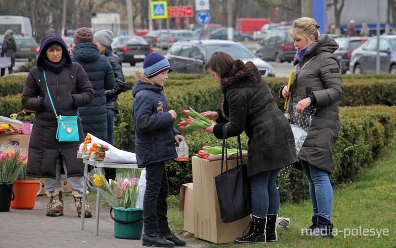 Выбираем самые красивые тюльпаны