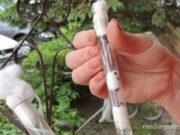 Фотография из архива Медиа-Полесья