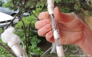 Фотография из архива Медиа-Полесья