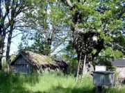 Фото из архива Медиа-Полесья