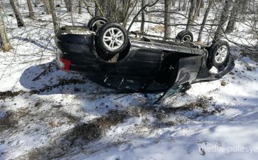 Снимок носит иллюстративный характер / Фото из архива Медиа-Полесья