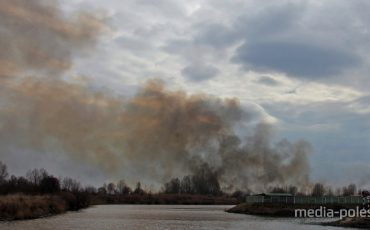 Трава горит в пойме Пины