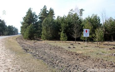 Пограничная полоса