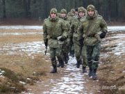 Снимок носит иллюстративный характер / Фото из архива Медиа-Полесья