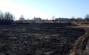 Вид на Пинск с выгоревшей поймы Припяти. Фото Павла Ляхновича