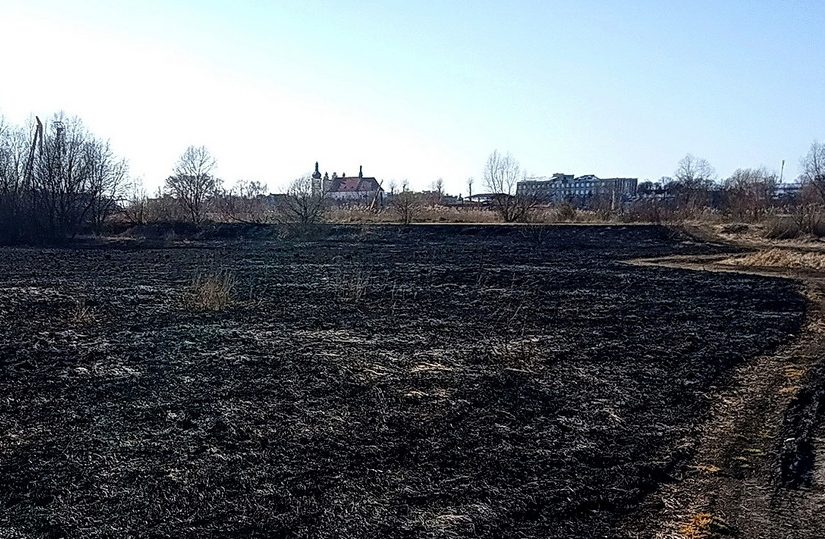 Вид на Пинск с выгоревшей поймы Припяти. Фото Павла Ляхновича