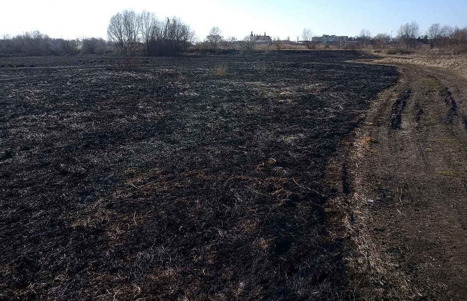 Гектары выжженной земли. Фото Павла Ляхновича