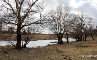 Фото иллюстративное