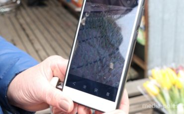 «Тюльпанщики» показывают обратную сторону красивого бизнеса